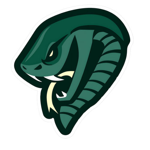 Jacksonville Athletic Academy Mocs logo